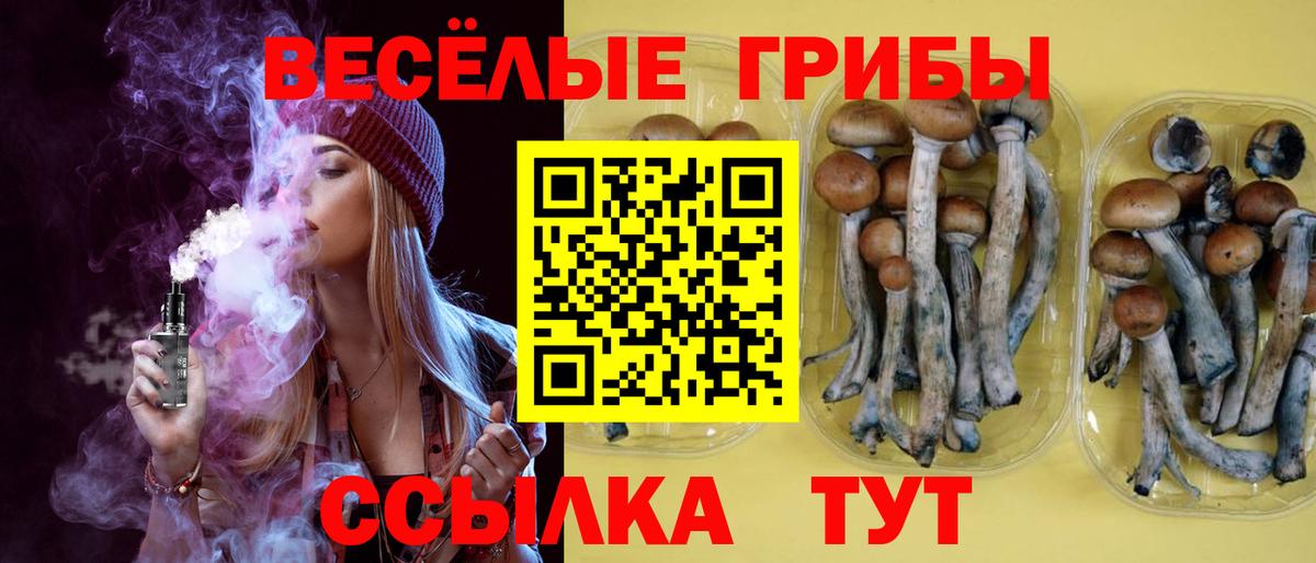 Галлюциногенные грибы Psilocybe  Вход с VPN  Югорск  наркотики  Галлюциногенные грибы мухоморы 